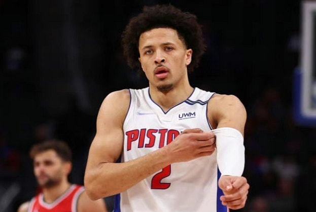 郁金香受害 郁金香受害