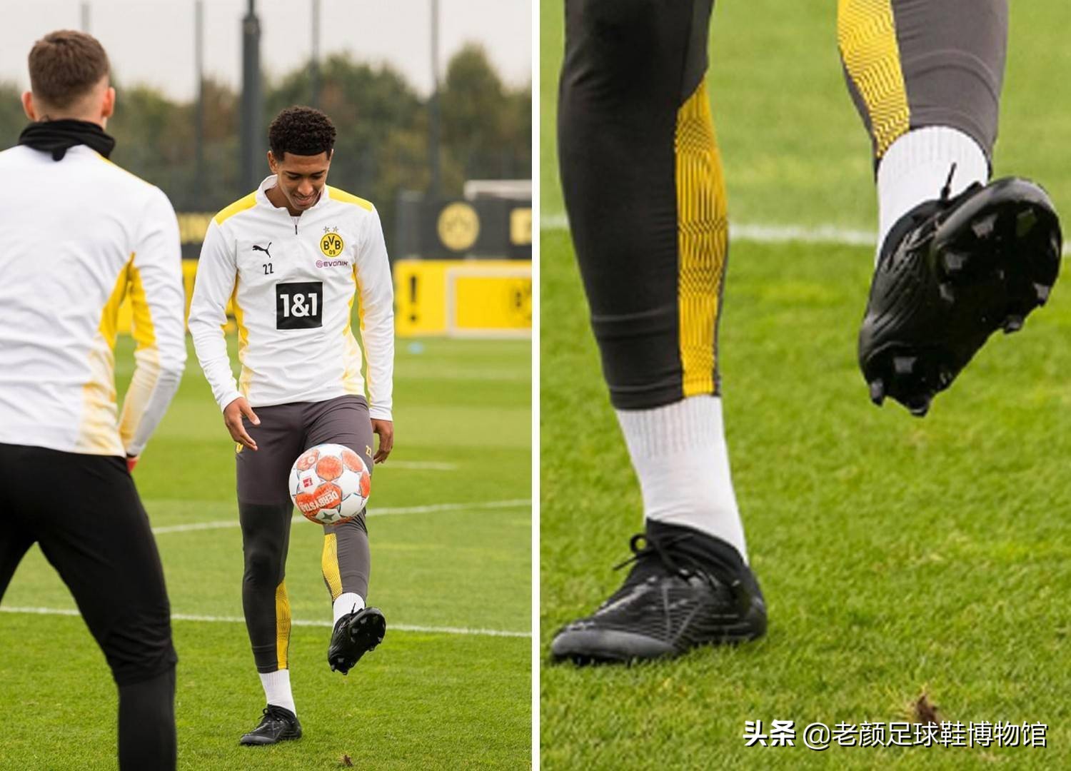 引进经验丰 引进经验丰