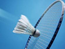 场的新宠 场的新宠